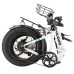 PHILODO H4 Foldable Step-Thru Fat Bike 20 Inch 48V 13Ah Removable Battery 250W Motor 25km/h Dual Brakes - White