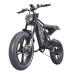 Hidoes B6 All-terrain Electric Bike 20 Inch Off-road Fat Tire, 1200W High Speed Motor 60Km/h Max Speed 48V 17.5Ah Battery Dual Oil Disc Brakes