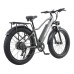 BURCHDA RX20 26*4.0 Inch All-terrain Fat Tire Electric Bike 800W Motor 45Km/h Max Speed, 48V 18Ah Battery, Shimano 8-speed