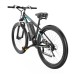 DUOTTS C29 Electric Bike 750W Mountain Bike 2*48V 15Ah Batteries 50km Range 50km/h Max Speed Shimano 21 Speed Gear