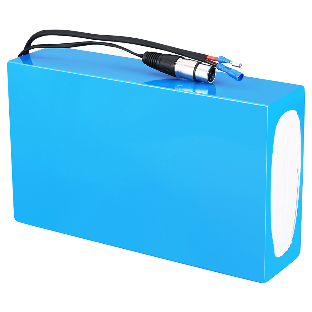 HANIWINNER HA201 Electric Bike Rechargeable Lithium Battery 48V 20AH 960W with Charger - Blue
