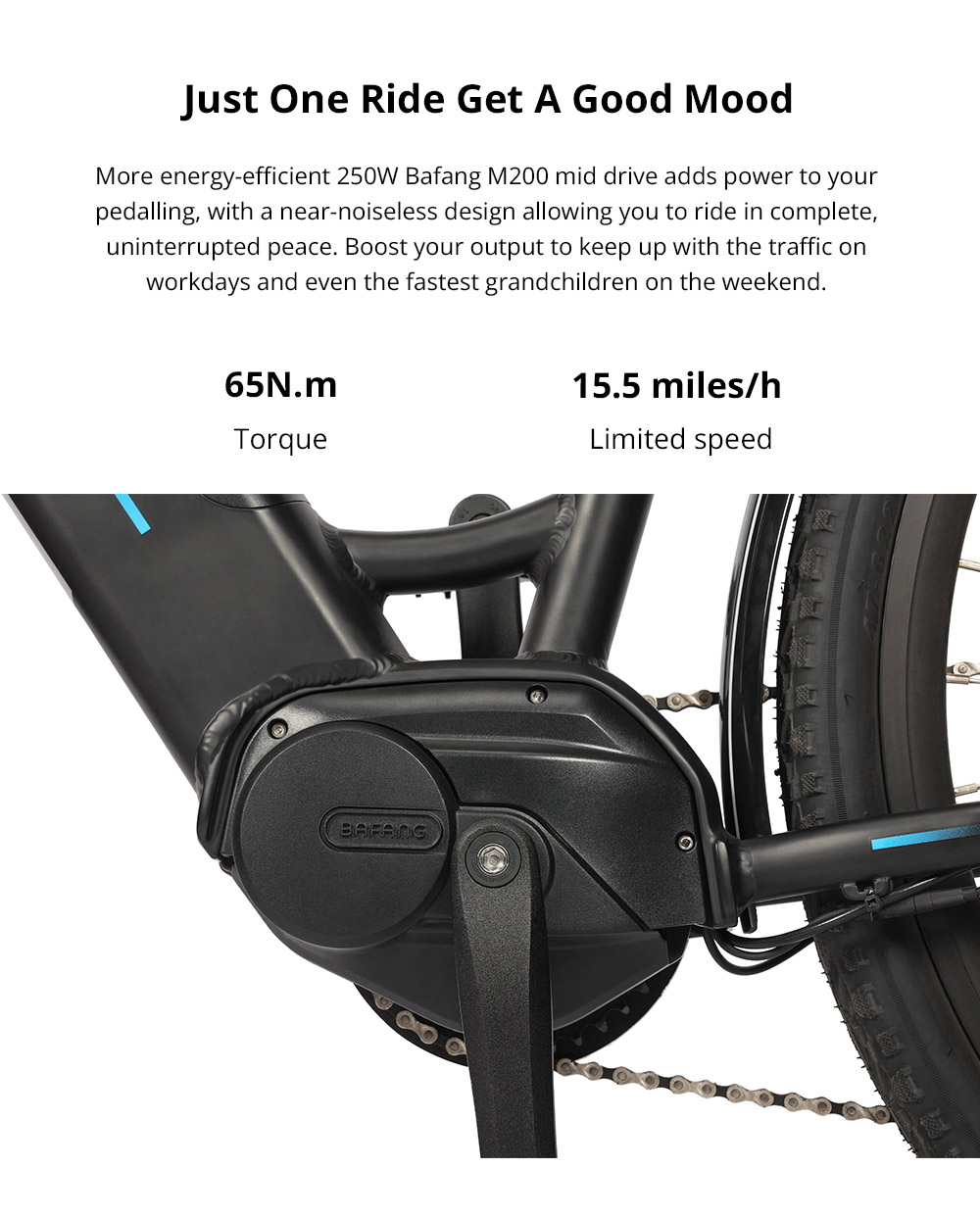 ESKUTE Polluno Pro Electric Bicycle 250W Mid-drive Motor 14.5Ah Battery for 80 Miles Range